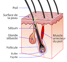 Formation épilation au laser diode à Aix en Provence